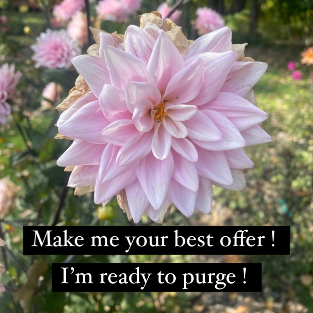 Give me your best offer !